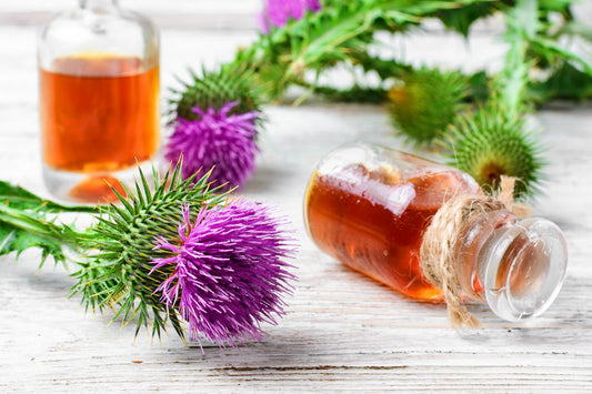 Milk Thistle Magic: 7 Powerful Benefits of This Popular Supplement You Should Know