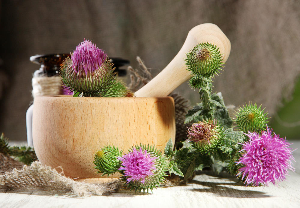NAC + Milk Thistle: The Ultimate Liver Protection Duo for Detox, PCOS & Modern Lifestyle Stress