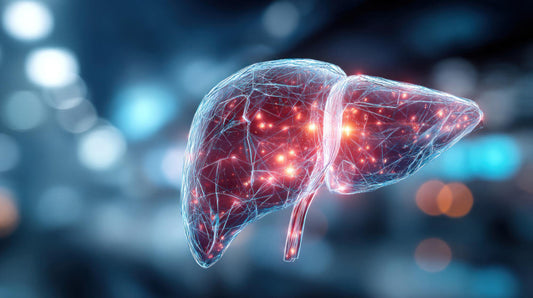 Choline Deficiency: The Silent Nutrient Gap That Could Be Damaging Your Liver