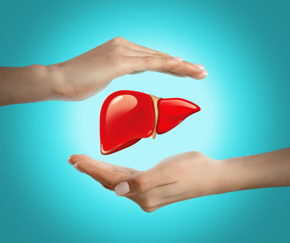 Alpha-Lipoic Acid: The Antioxidant Your Liver Loves