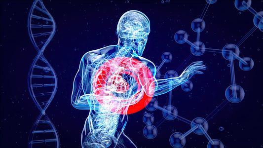 The Cortisol Connection: Why Stress Is the Missing Piece in Your Health  Journey
